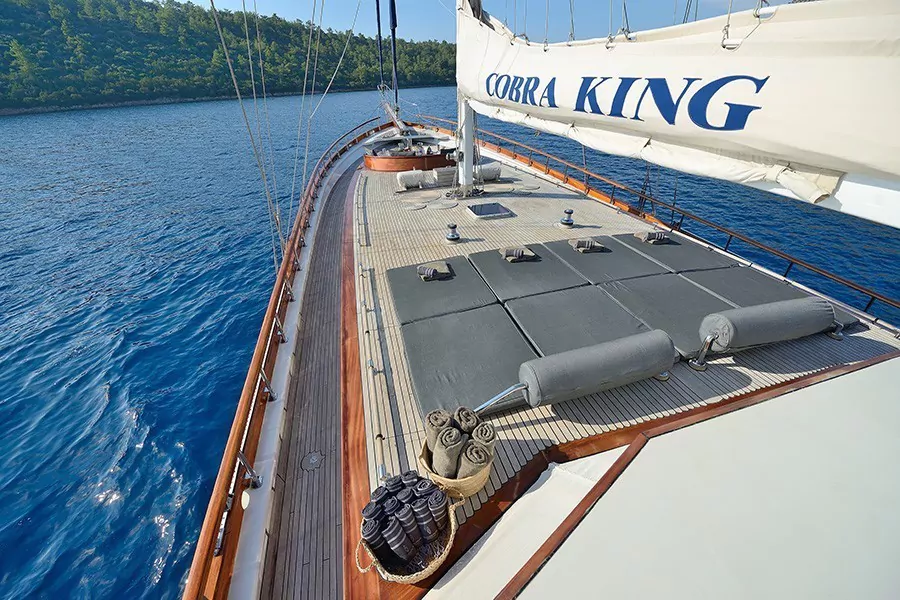 cobra_king_03-1.jpg